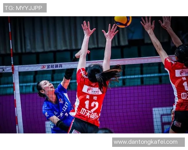 成都排球队转型之路的挑战与机遇探索特别报道 成都排球队转型之路的挑战与机遇探索特别报道