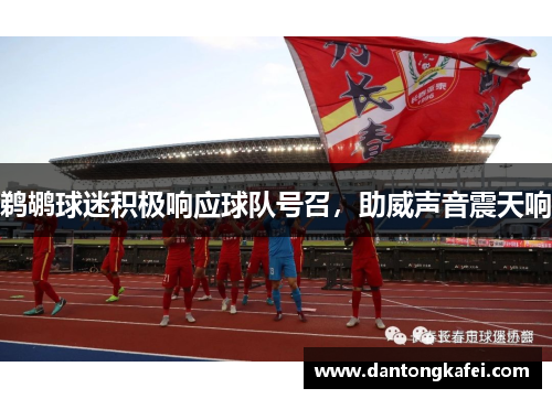 鹈鹕球迷积极响应球队号召，助威声音震天响