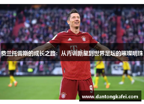 费兰托雷斯的成长之路：从青训新星到世界足坛的璀璨明珠